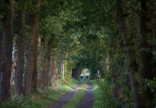 It-Wiid-fiesten door Friesland