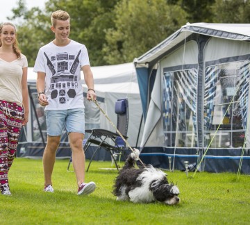 It wiid - Honden toegestaan op camping