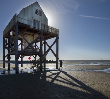 It Wiid Waddenzee