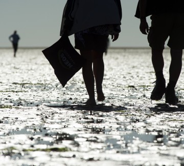 Wadlopen It Wiid