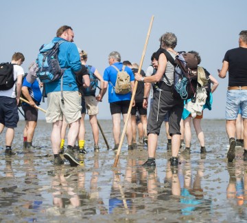 It Wiid wadlopen