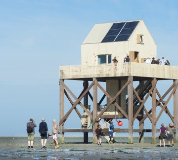 It Wiid Wadtoren