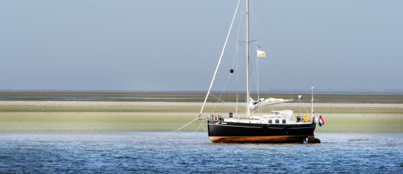 Waddenzee It Wiid