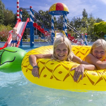 It Wiid 050 - kopie 2.jpg