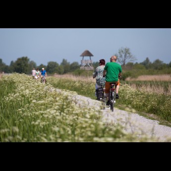 Friesse Fietsers