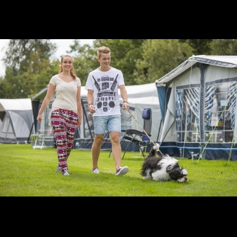 It wiid - Honden toegestaan op camping