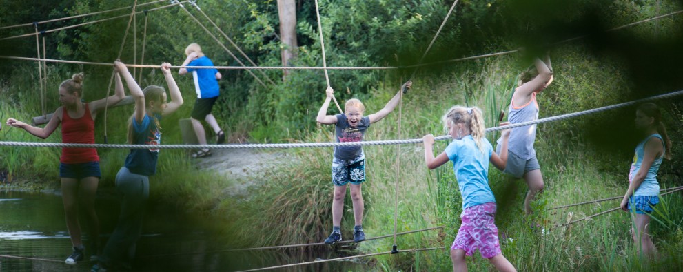 It-Wiid-16 - kopie.jpg It-Wiid-16 - kopie.jpg