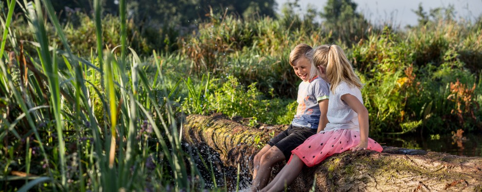 It Wiid - kinderen zitten op boomstronk