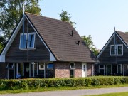 It Wiid (high-res)-1 6p ingezoomd - kopie.jpg
